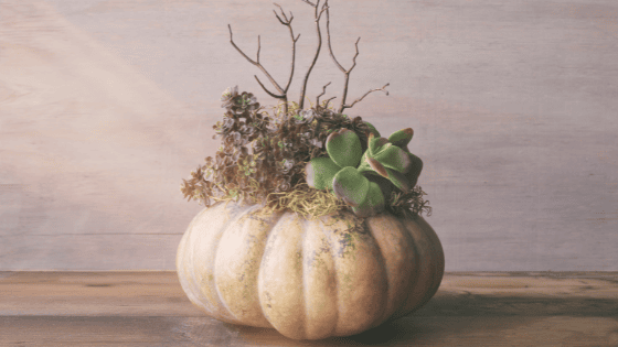 pumpkin-planter